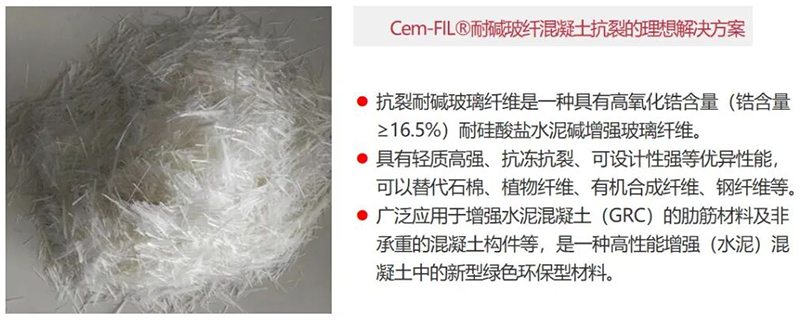 fang00m.jpg fang00m.jpg